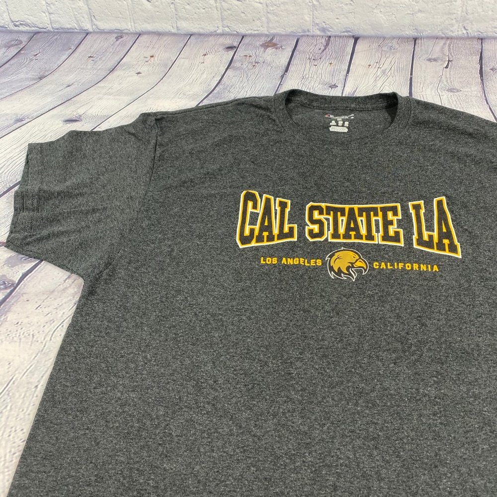 Champion Men's Relaxed Fit Jersey Tshirt Gray Tee - Picture 3 of 8